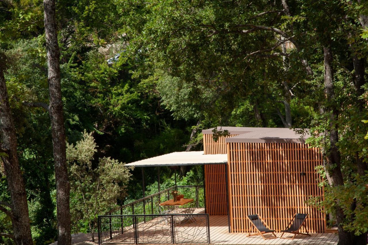 Les Cabanes De La Fontaine Lacoste  Ngoại thất bức ảnh